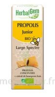 Herbalgem Propolis Large Spectre Solution Buvable Bio Junior Fl Cpte-gttes/15ml à Entrelacs