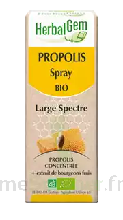 Herbalgem Propolis Large Spectre Solution Buvable Bio Spray/15ml à Entrelacs